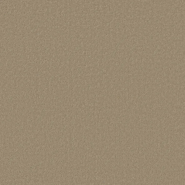 Shaw Floors Canvas Comfort — Honey Tea · 5E659-00750 — flooring selection with LeviArs Design & Remodeling