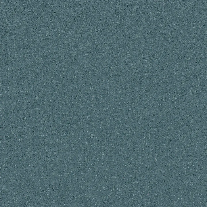 Shaw Floors Canvas Comfort — Life Of The Party · 5E659-00423 — flooring selection with LeviArs Design & Remodeling