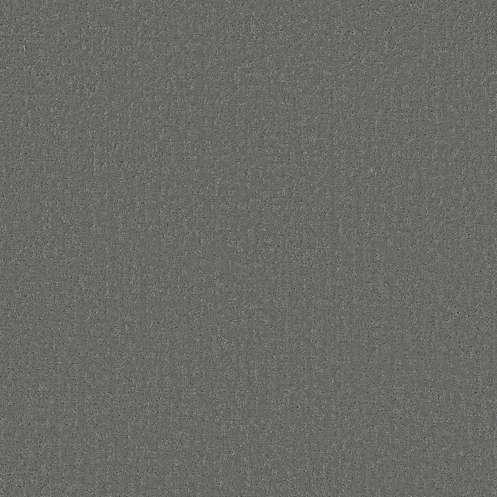 Shaw Floors Canvas Comfort — Lighthouse Shadows · 5E659-00520 — flooring selection with LeviArs Design & Remodeling