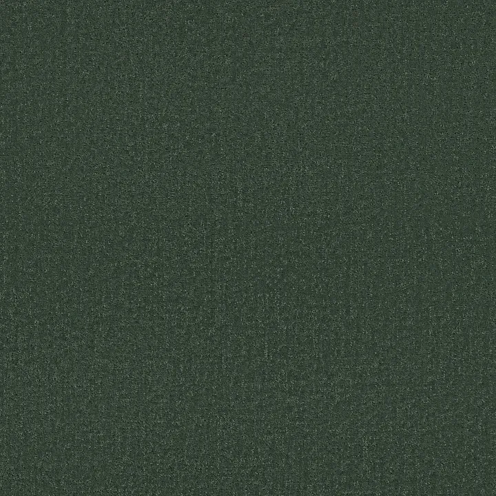 Shaw Floors Canvas Comfort — Magnolia Branch · 5E659-00322 — flooring selection with LeviArs Design & Remodeling