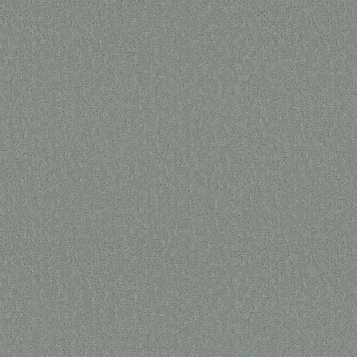 Shaw Floors Canvas Comfort — Misty Rain · 5E659-00529 — flooring selection with LeviArs Design & Remodeling