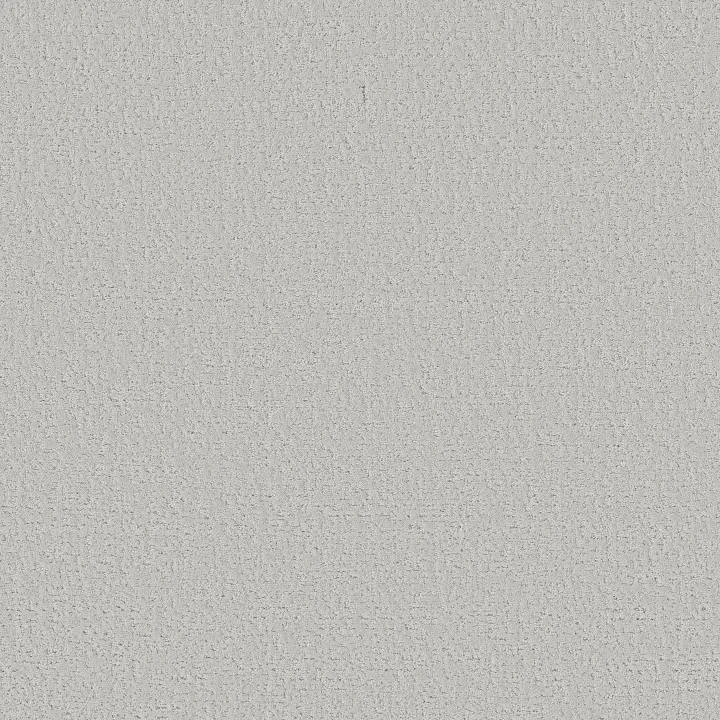 Shaw Floors Canvas Comfort — Morning Dew · 5E659-00539 — flooring selection with LeviArs Design & Remodeling