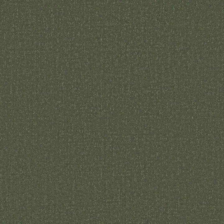Shaw Floors Canvas Comfort — Olive Grove · 5E659-00323 — flooring selection with LeviArs Design & Remodeling