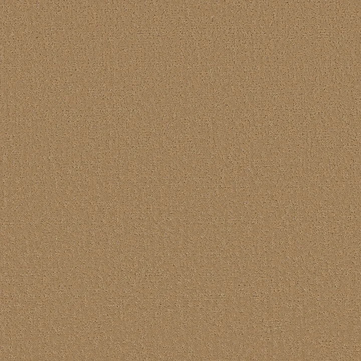 Shaw Floors Canvas Comfort — Pasta Recipe · 5E659-00225 — flooring selection with LeviArs Design & Remodeling