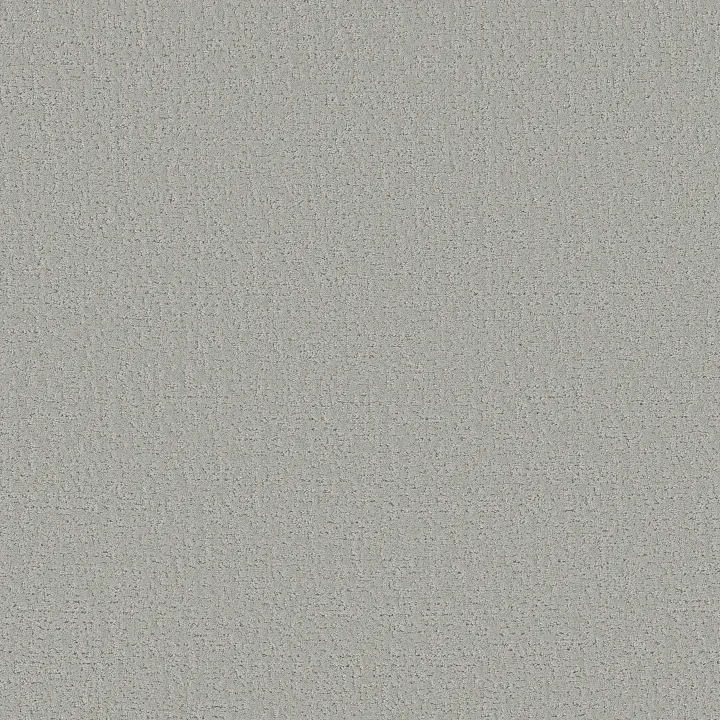 Shaw Floors Canvas Comfort — Refreshed · 5E659-00515 — flooring selection with LeviArs Design & Remodeling