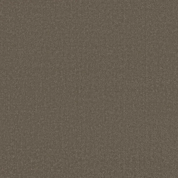 Shaw Floors Canvas Comfort — Summer House · 5E659-00708 — flooring selection with LeviArs Design & Remodeling