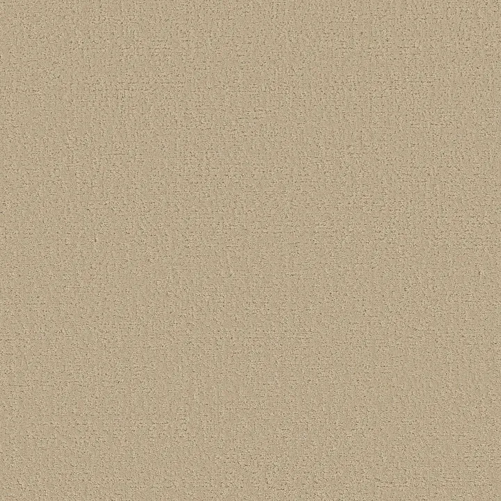 Shaw Floors Canvas Comfort — Sun Kissed · 5E659-00110 — flooring selection with LeviArs Design & Remodeling
