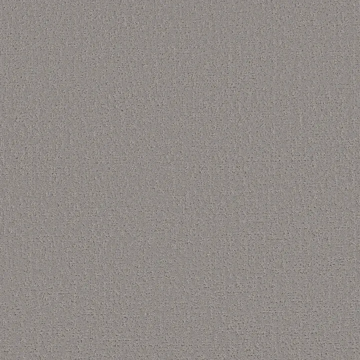 Shaw Floors Canvas Comfort — Sunday Stroll · 5E659-00546 — flooring selection with LeviArs Design & Remodeling