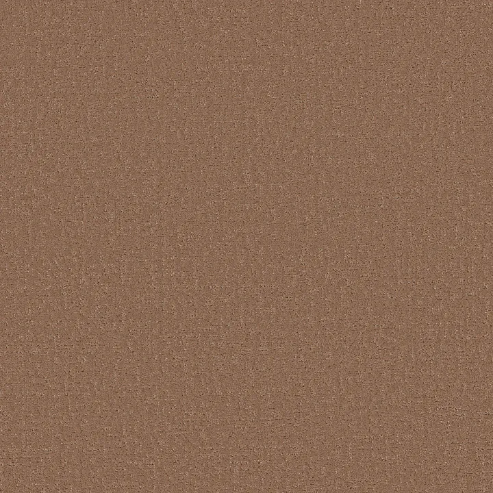 Shaw Floors Canvas Comfort — Terracotta Pot · 5E659-00650 — flooring selection with LeviArs Design & Remodeling