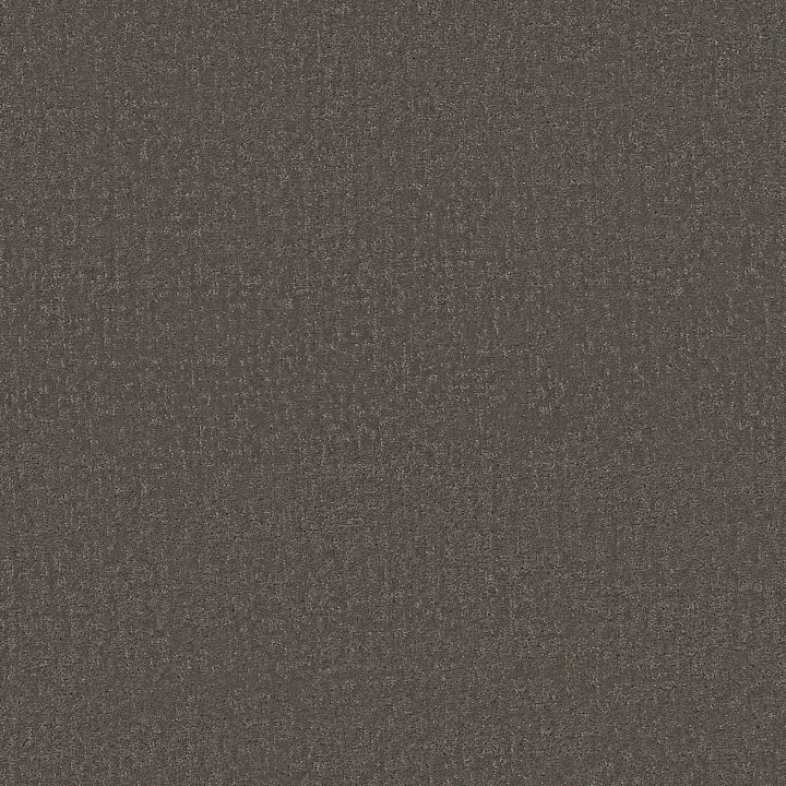 Shaw Floors Canvas Comfort — Weekend Getaway · 5E659-00753 — flooring selection with LeviArs Design & Remodeling