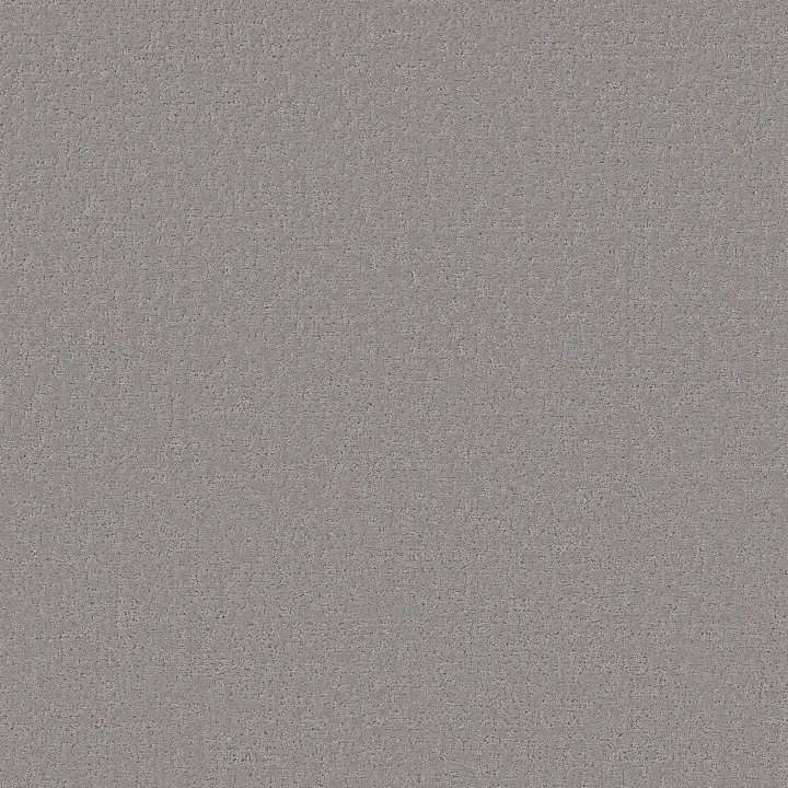 Shaw Floors Canvas Comfort — Whisper · 5E659-00536 — flooring selection with LeviArs Design & Remodeling
