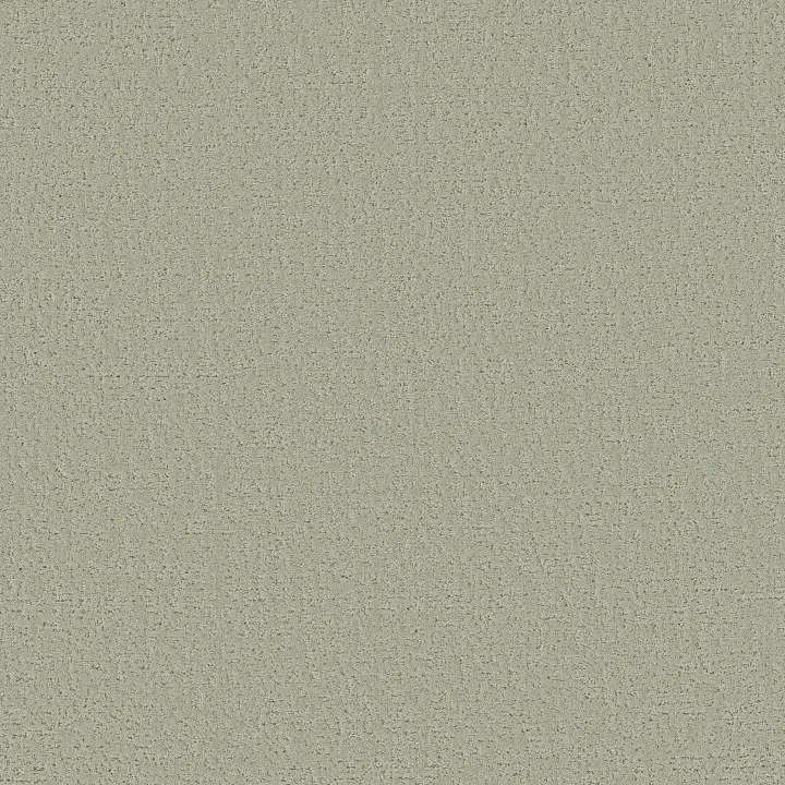 Shaw Floors Canvas Comfort — Willow Tree · 5E659-00330 — flooring selection with LeviArs Design & Remodeling