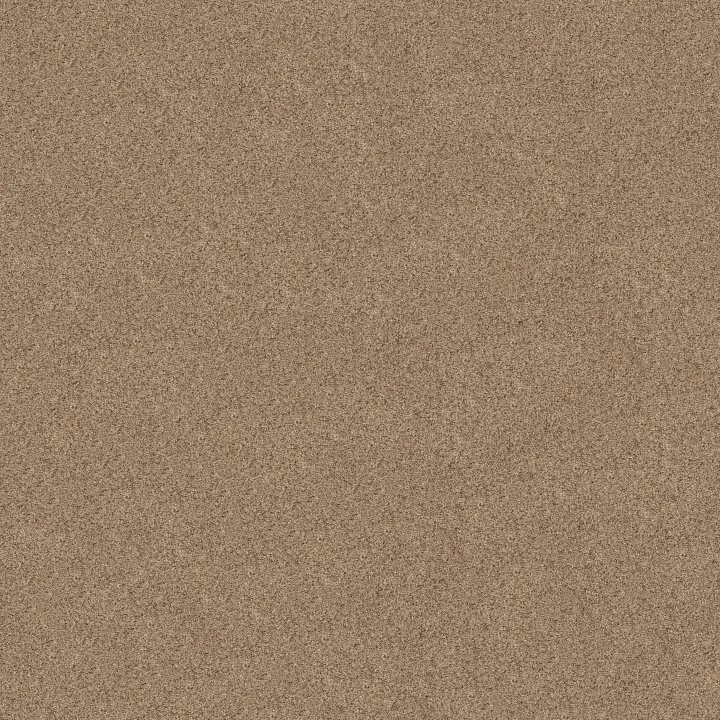 Shaw Floors Canyon Lake — Basic Tan · 5E830-0722B — flooring selection with LeviArs Design & Remodeling
