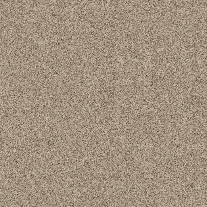 Shaw Floors Canyon Lake — Calm Ivory · 5E830-0172B — flooring selection with LeviArs Design & Remodeling