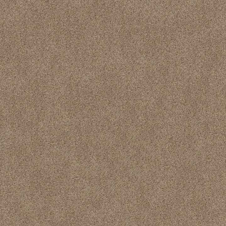 Shaw Floors Canyon Lake — Crushed Pearl · 5E830-0212B — flooring selection with LeviArs Design & Remodeling