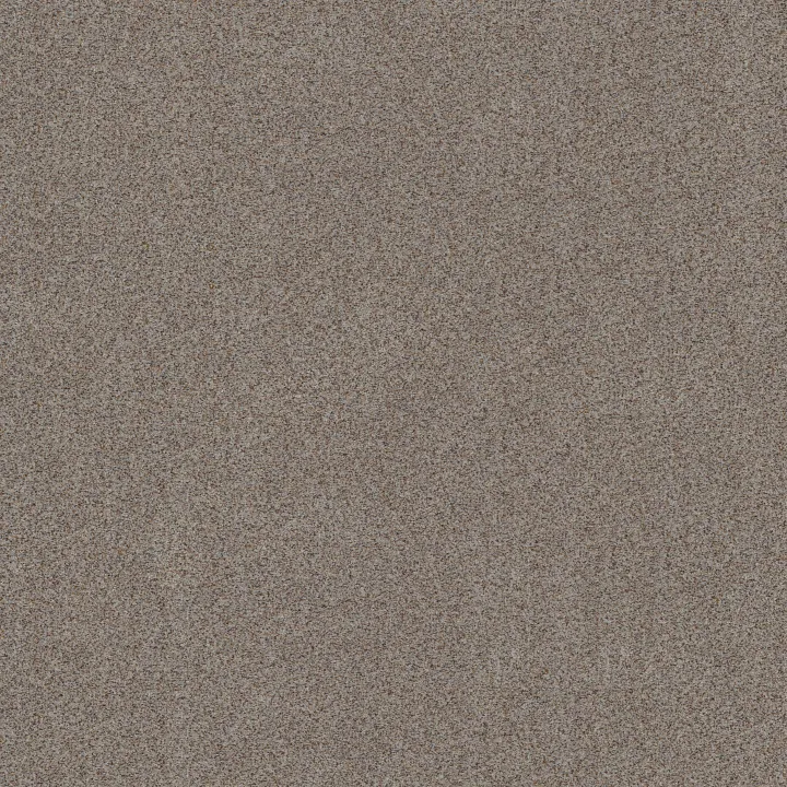 Shaw Floors Canyon Lake — Distant Star · 5E830-0543B — flooring selection with LeviArs Design & Remodeling
