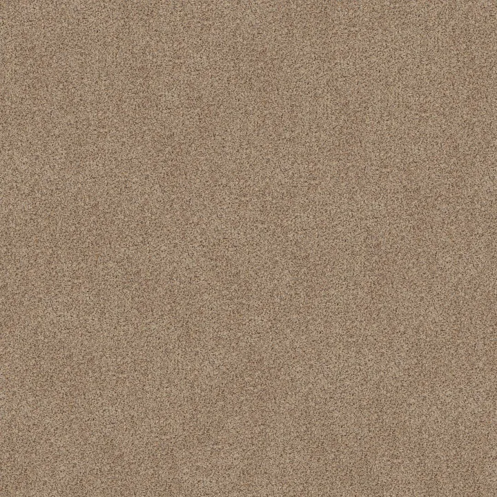 Shaw Floors Canyon Lake — Dogwood · 5E830-0211B — flooring selection with LeviArs Design & Remodeling
