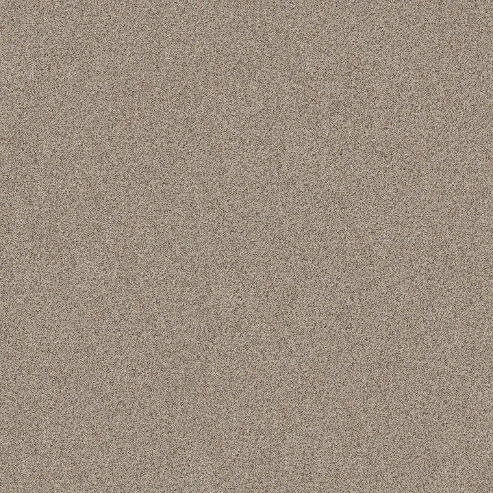 Shaw Floors Canyon Lake — Eclipse · 5E830-0153B — flooring selection with LeviArs Design & Remodeling
