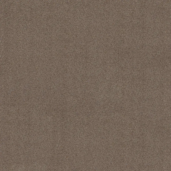 Shaw Floors Canyon Lake — Granite · 5E830-0754B — flooring selection with LeviArs Design & Remodeling
