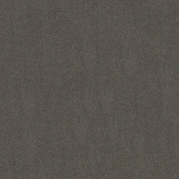 Shaw Floors Canyon Lake — Great Falls · 5E830-0446B — flooring selection with LeviArs Design & Remodeling