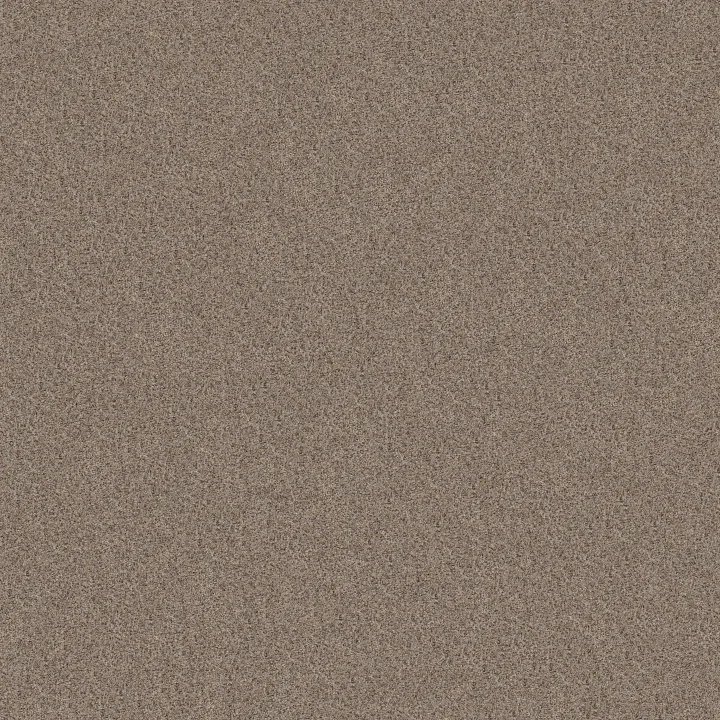 Shaw Floors Canyon Lake — Mesa Taupe · 5E830-0154B — flooring selection with LeviArs Design & Remodeling