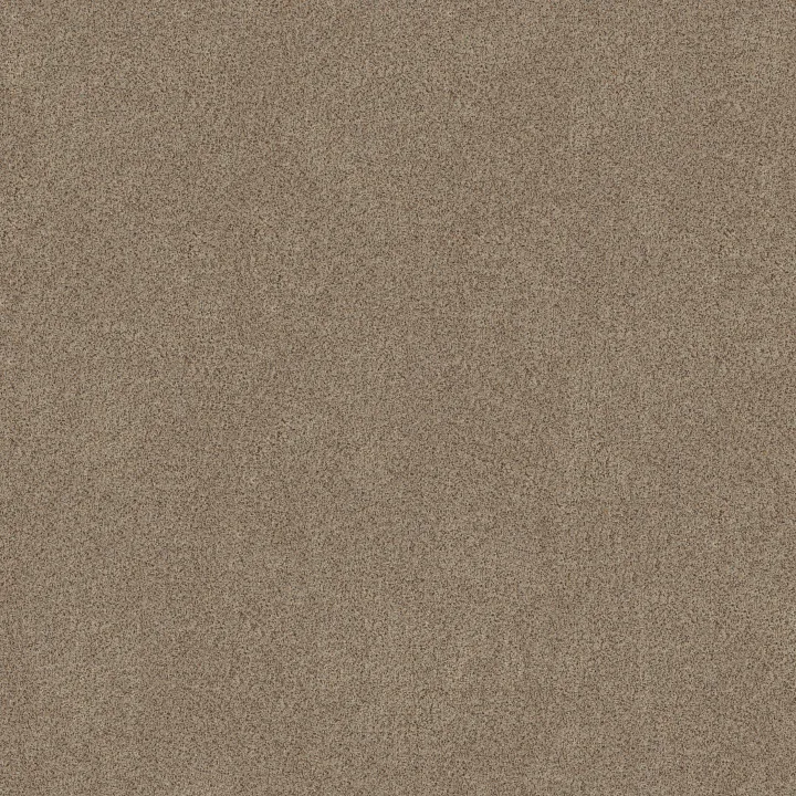 Shaw Floors Canyon Lake — Sheffield · 5E830-0173B — flooring selection with LeviArs Design & Remodeling