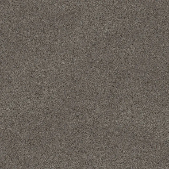 Shaw Floors Canyon Lake — Slate · 5E830-0556B — flooring selection with LeviArs Design & Remodeling