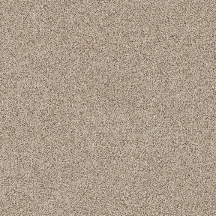 Shaw Floors Canyon Lake — Snowfall · 5E830-0111B — flooring selection with LeviArs Design & Remodeling
