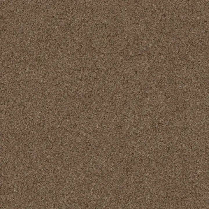 Shaw Floors Canyon Lake — Stone Age · 5E830-0575B — flooring selection with LeviArs Design & Remodeling