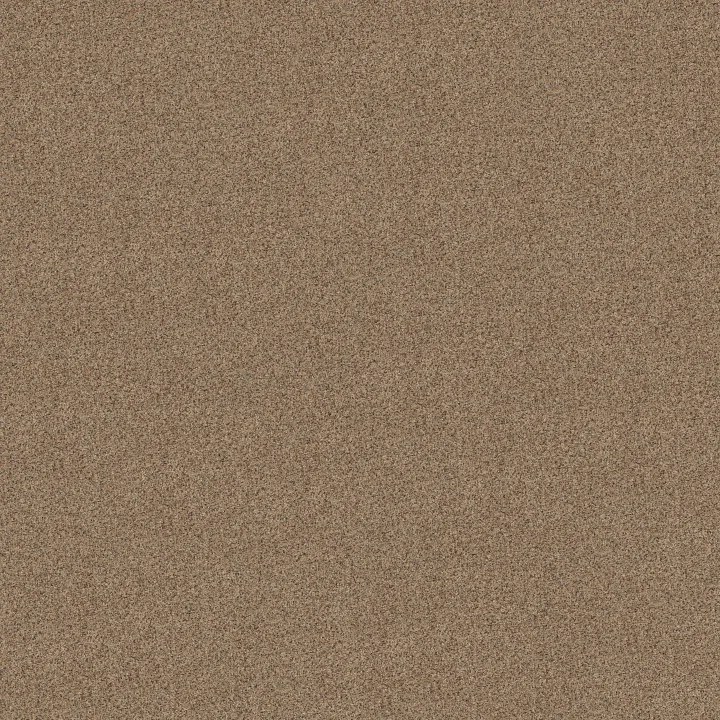 Shaw Floors Canyon Lake — Terrazzo · 5E830-0213B — flooring selection with LeviArs Design & Remodeling