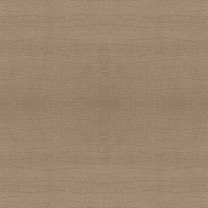 Shaw Floors Capistrano — Beach Grass · ZZ266-00117 — flooring selection with LeviArs Design & Remodeling