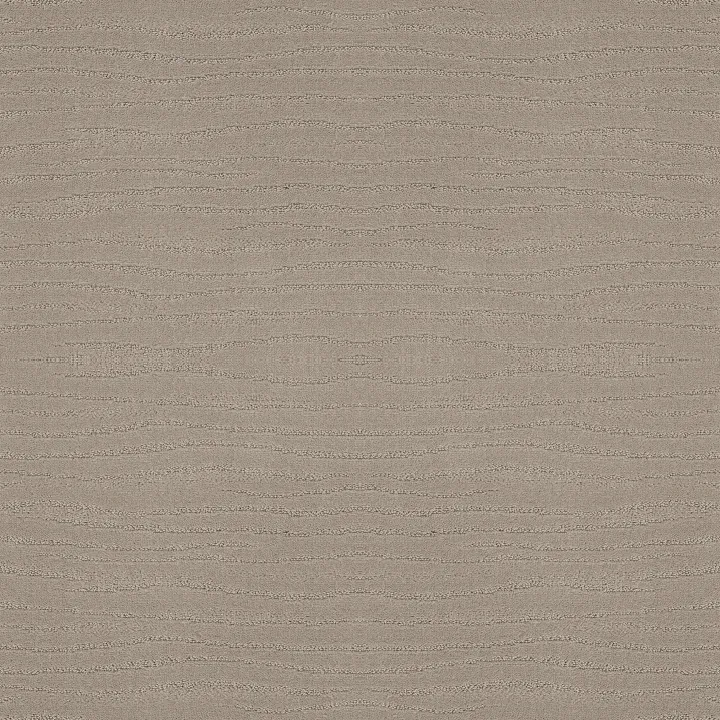 Shaw Floors Capistrano — Bit Of Gray · ZZ266-00552 — flooring selection with LeviArs Design & Remodeling