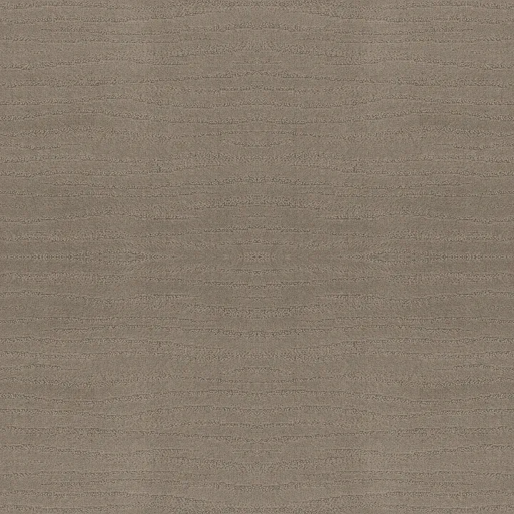 Shaw Floors Capistrano — Koala · ZZ266-00553 — flooring selection with LeviArs Design & Remodeling