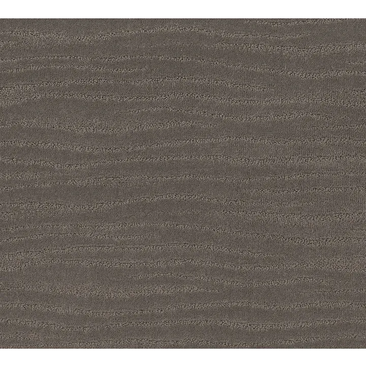 Shaw Floors Capistrano — Potting Soil · ZZ266-00573 — flooring selection with LeviArs Design & Remodeling