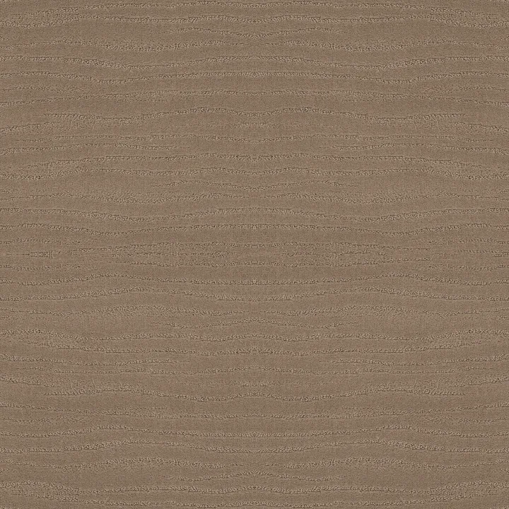 Shaw Floors Capistrano — Sierra Hills · ZZ266-00174 — flooring selection with LeviArs Design & Remodeling
