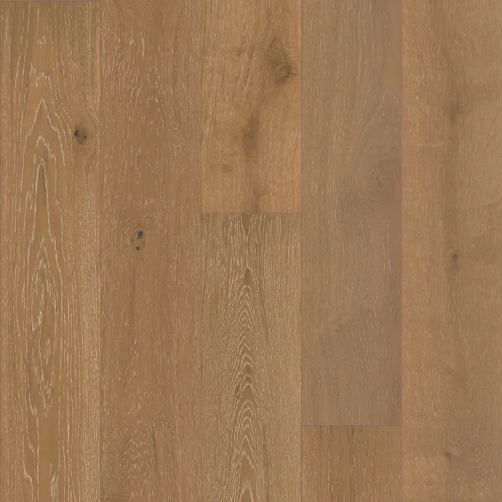 Shaw Floors Castlewood Oak — Baroque · SW485-05031 — flooring selection with LeviArs Design & Remodeling