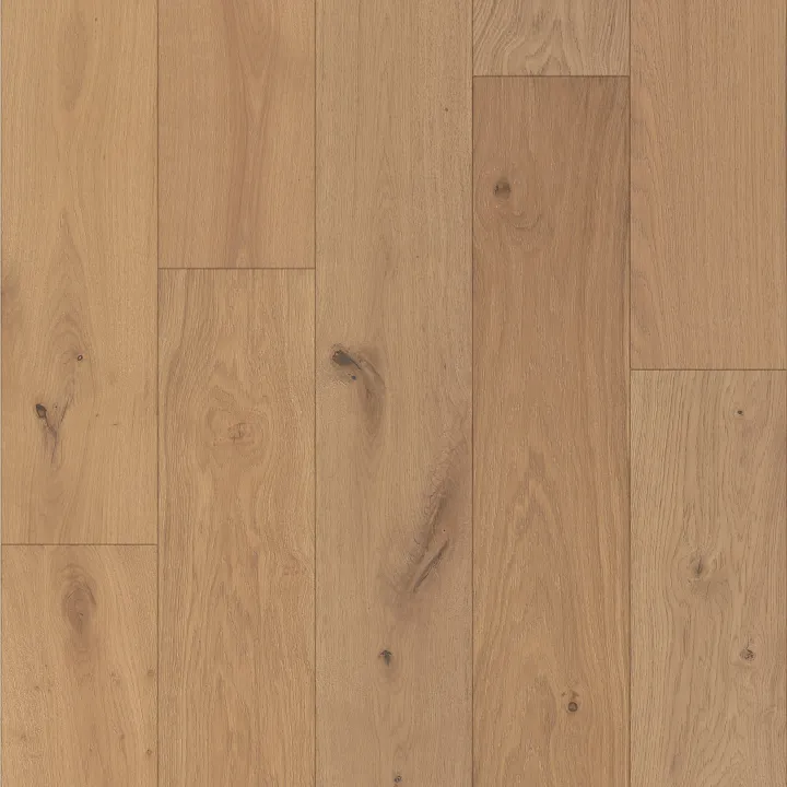 Shaw Floors Castlewood Oak — Dynasty · SW485-02047 — flooring selection with LeviArs Design & Remodeling
