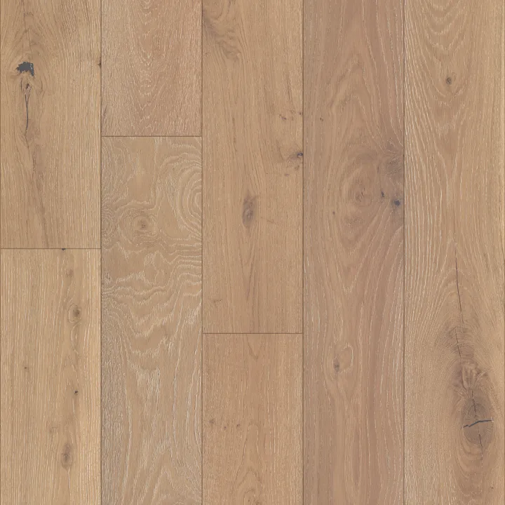 Shaw Floors Castlewood Oak — Tapestry · SW485-00146 — flooring selection with LeviArs Design & Remodeling