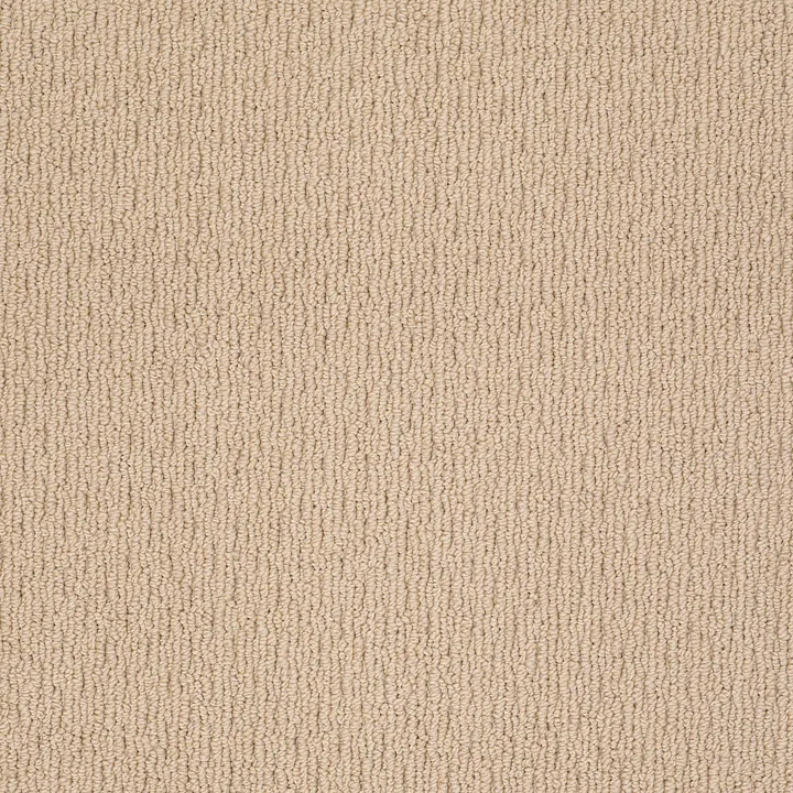 Shaw Floors Casual Mood — Big City Beige · Z6820-00172 — flooring selection with LeviArs Design & Remodeling