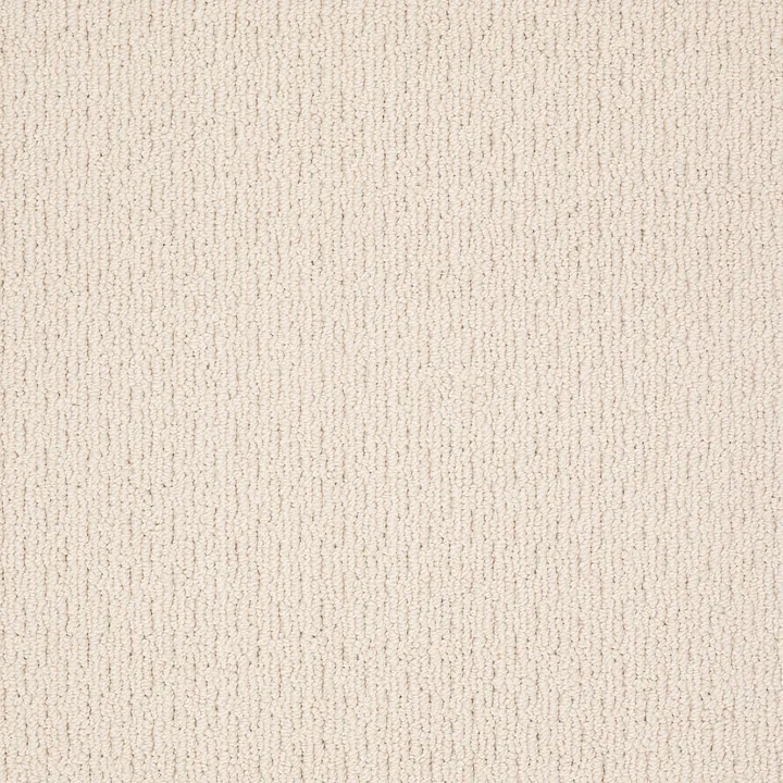 Shaw Floors Casual Mood — Falling Snow · Z6820-00110 — flooring selection with LeviArs Design & Remodeling