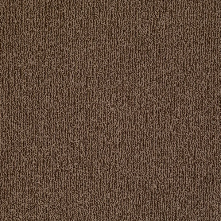 Shaw Floors Casual Mood — Hiking Trail · Z6820-00737 — flooring selection with LeviArs Design & Remodeling