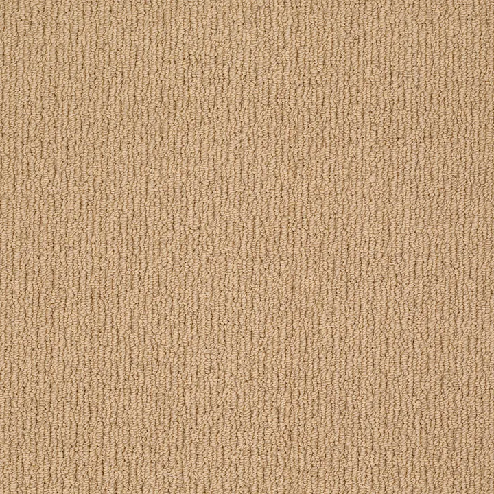 Shaw Floors Casual Mood — Winter Wheat · Z6820-00724 — flooring selection with LeviArs Design & Remodeling