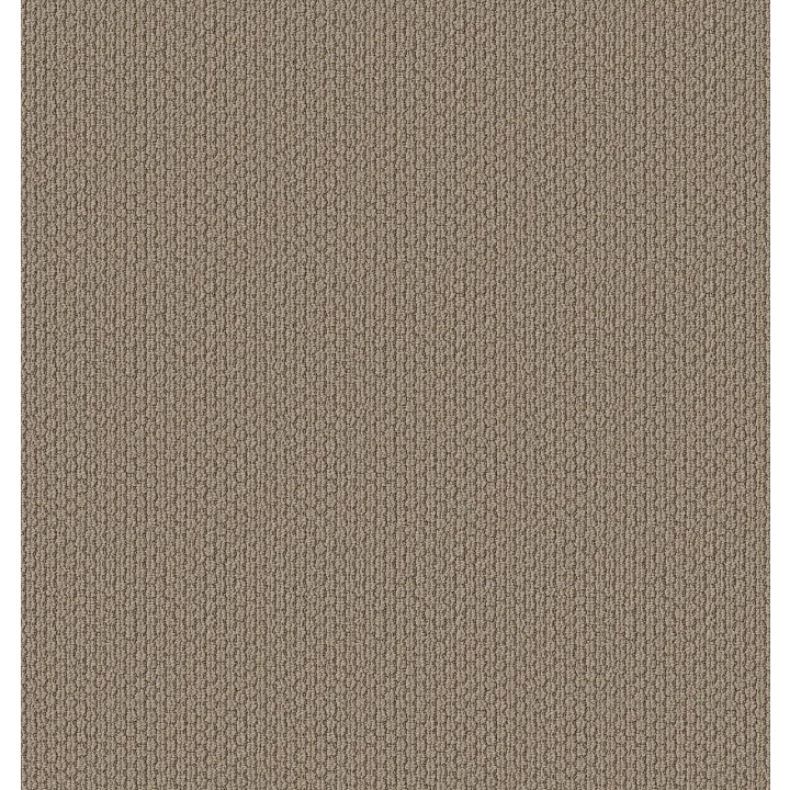 Shaw Floors Cathedral Hill II — Canyon Clay · ZZ040-00753 — flooring selection with LeviArs Design & Remodeling