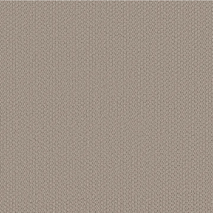 Shaw Floors Cathedral Hill II — Cement · ZZ040-00512 — flooring selection with LeviArs Design & Remodeling