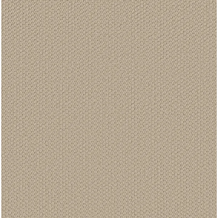 Shaw Floors Cathedral Hill II — Enlightened · ZZ040-00102 — flooring selection with LeviArs Design & Remodeling