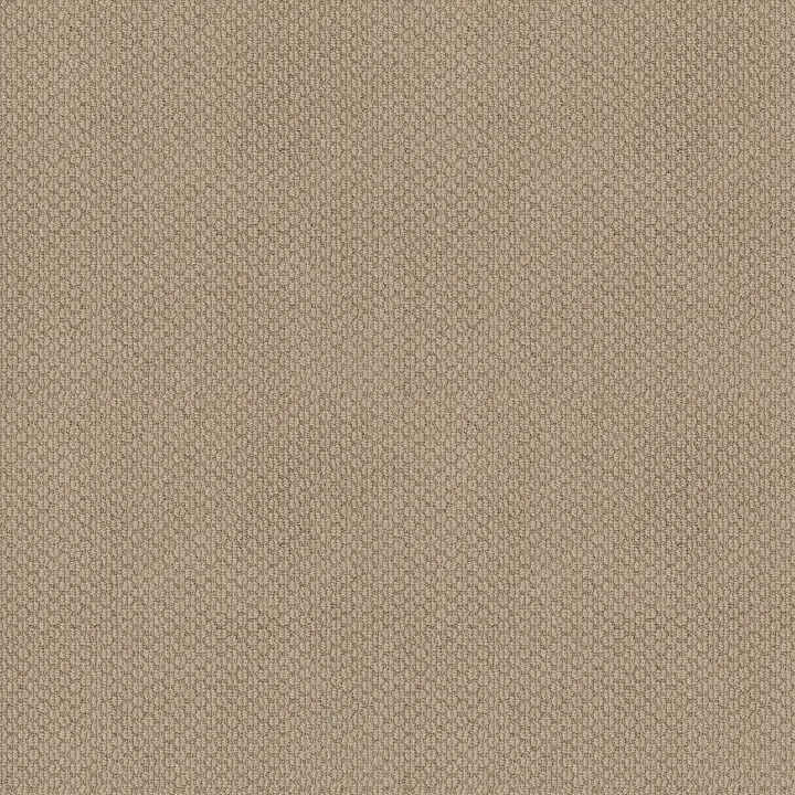 Shaw Floors Cathedral Hill II — Feather · ZZ040-00114 — flooring selection with LeviArs Design & Remodeling