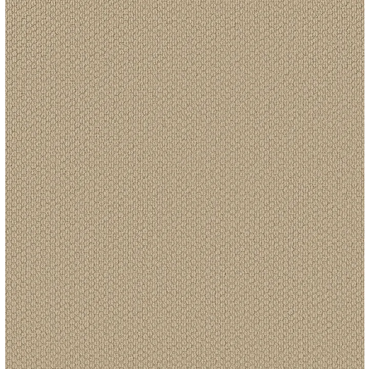 Shaw Floors Cathedral Hill II — Glowing · ZZ040-00132 — flooring selection with LeviArs Design & Remodeling