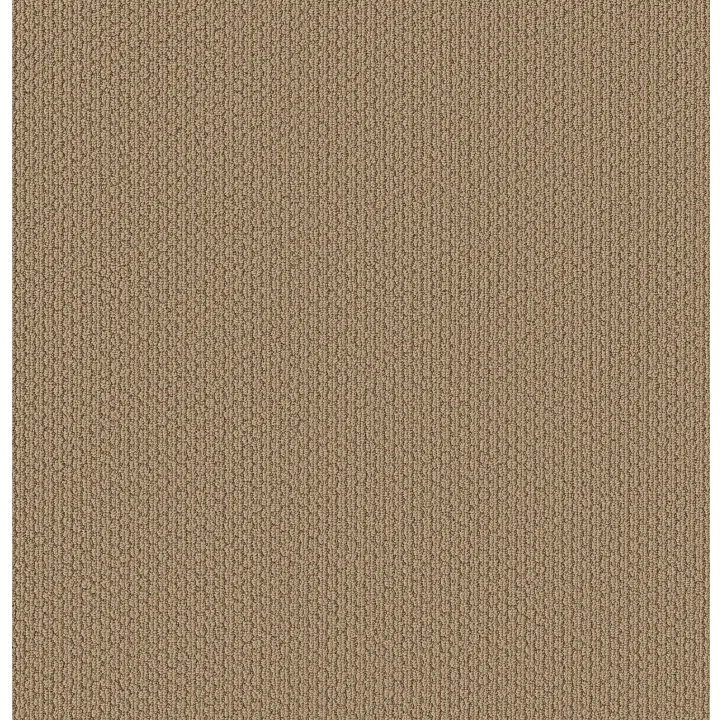 Shaw Floors Cathedral Hill II — Graham Cracker · ZZ040-00724 — flooring selection with LeviArs Design & Remodeling
