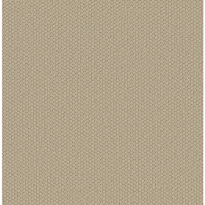 Shaw Floors Cathedral Hill II — Grecian Stone · ZZ040-00152 — flooring selection with LeviArs Design & Remodeling