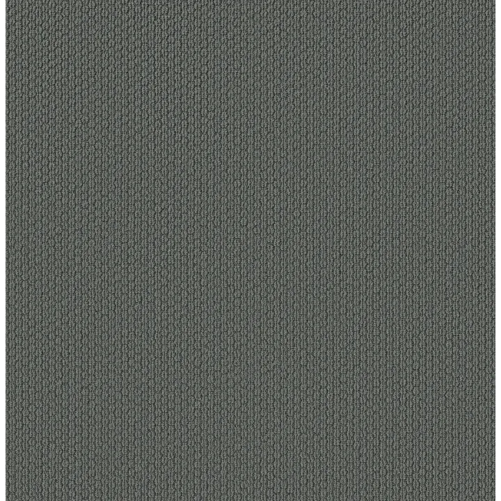 Shaw Floors Cathedral Hill II — Mystery · ZZ040-00456 — flooring selection with LeviArs Design & Remodeling